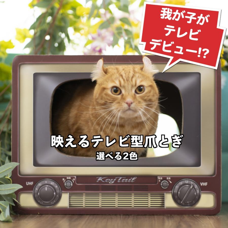 爪とぎ 猫 猫用爪とぎ 爪研ぎ おすすめ ダンボール テレビ ペット用品