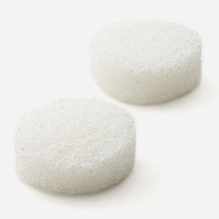 日本製 国産 掃除用具 掃除 水垢 油汚れ 表裏使用｜ 持ち手付き シンク洗いたわし スペア 2個  KEYUCA(ケユカ) | KEYUCA