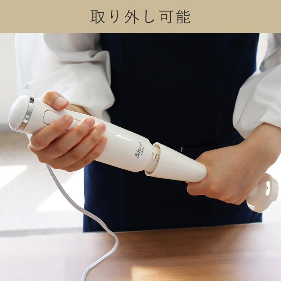 デッドボーイ　キワミアユ　ホワイトアップ　アユ　即日発送します KEYUCA（ケユカ） ミキサー 泡立て器 スムージー 出産祝い ギフト