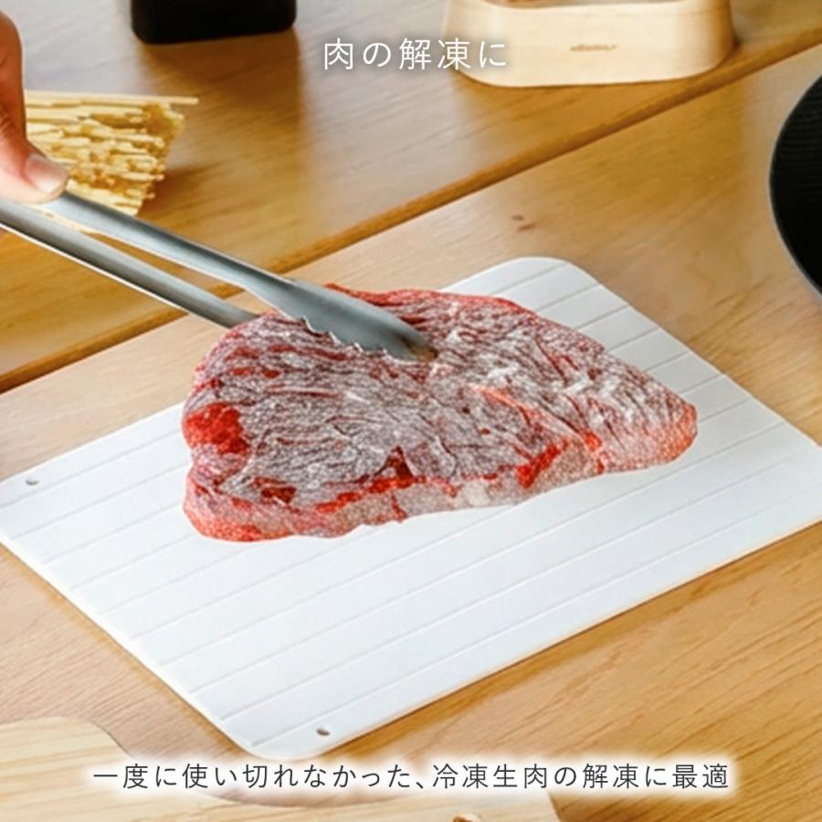 置くだけ解凍 急速解凍 自然解凍 調理器具 キッチン用品 時短 ｜ 食洗 粗熱取りもできる解凍プレートS アイボリーホワイト  KEYUCA(ケユカ) | KEYUCA | 02