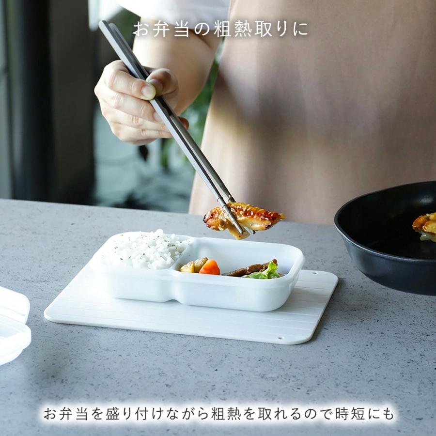 置くだけ解凍 急速解凍 自然解凍 調理器具 キッチン用品 時短 ｜ 食洗 粗熱取りもできる解凍プレートS アイボリーホワイト  KEYUCA(ケユカ) | KEYUCA | 04