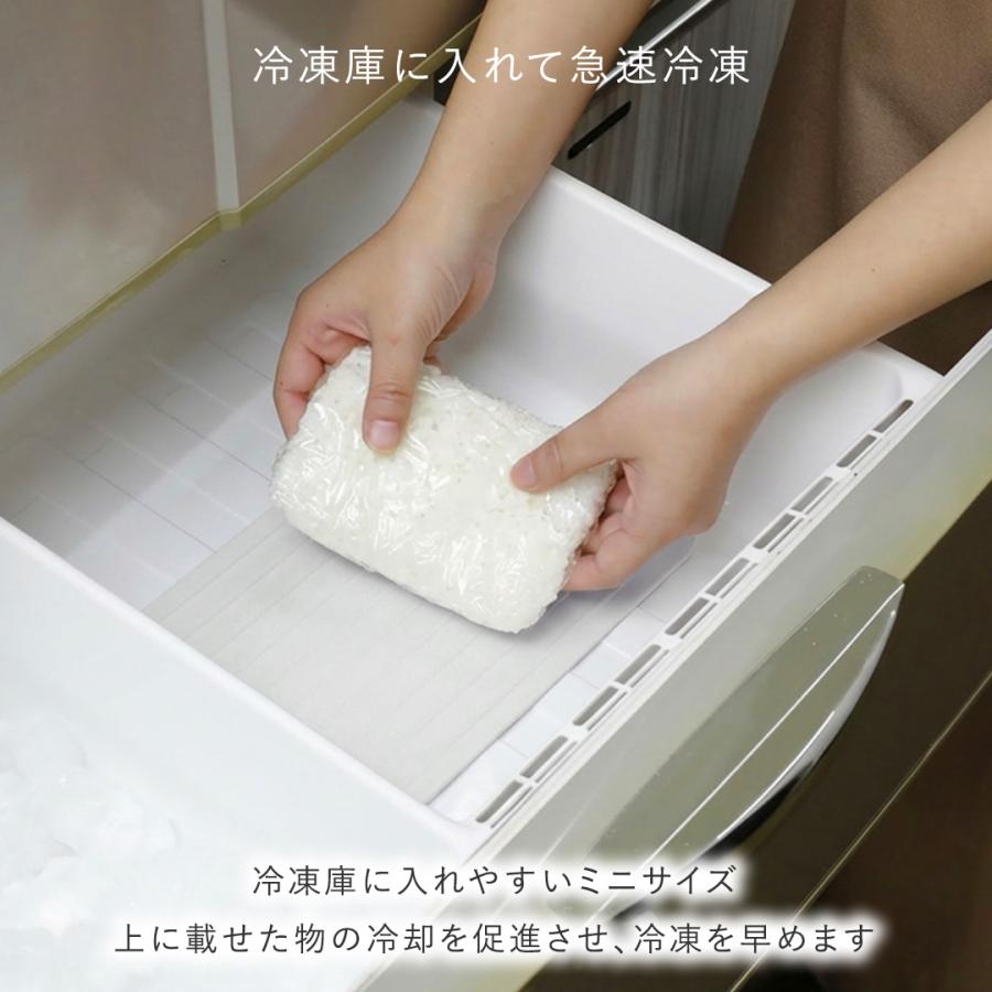 置くだけ解凍 急速解凍 自然解凍 調理器具 キッチン用品 時短 ｜ 食洗 粗熱取りもできる解凍プレートS アイボリーホワイト  KEYUCA(ケユカ) | KEYUCA | 05