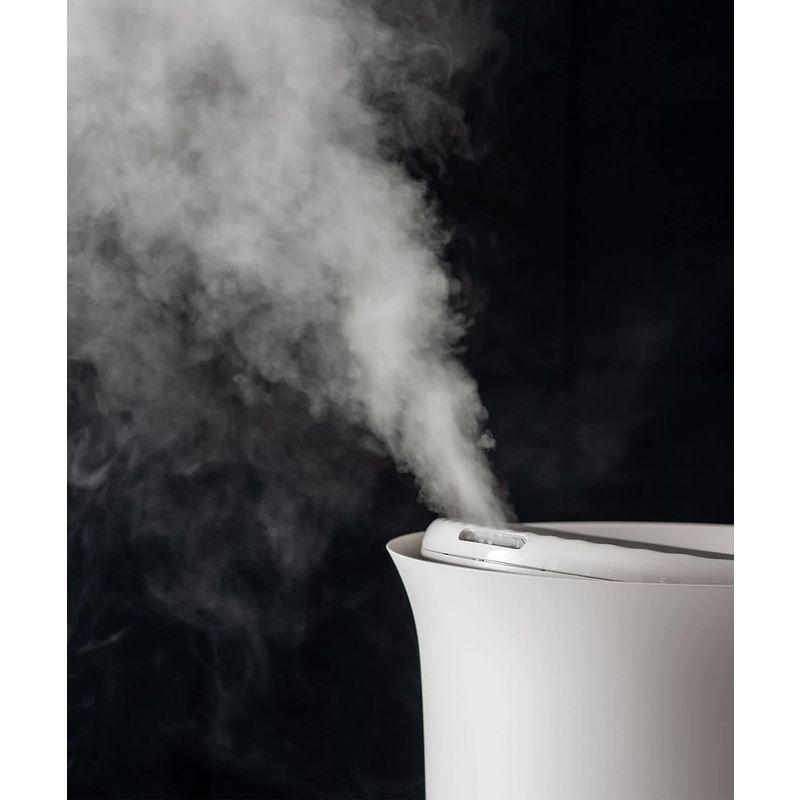 BRUNO ブルーノ 大容量 超音波 加湿器 JET MIST plus ミスト 大容量