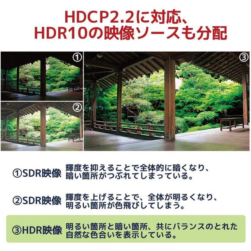 4K60Hz対応1入力8出力HDMI分配器 RS-HDSP8P-4K｜keywest-store｜06