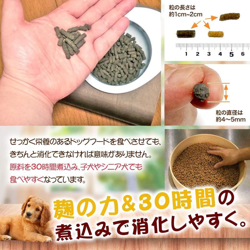 高齢犬用 （ 7歳以上 ） シニア犬 お試し商品 100g 無添加国産 鹿肉ドッグフード Dr.宿南のキセキのごはん （ 旧・デイリースタ｜keywest-store｜03