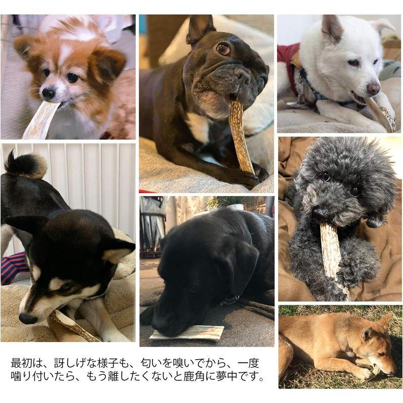 monolife 鹿の角 犬 おもちゃ 無添加 おやつ エゾジカ 国産 鹿 角 ガム デンタルケア (小型犬 10cm)｜keywest-store｜03