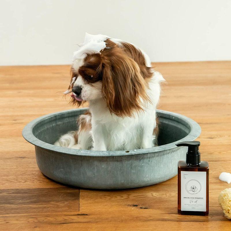 犬用 シャンプー 無添加CICA配合300ml ネイチャーフォードッグ（Nature+ For Dog）犬用シャンプー 「合成界面活性剤不使｜keywest-store｜05