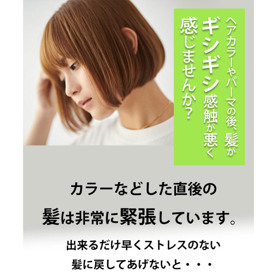 トリートメント サロン専売 ヘマチン ダメージケア ヘアカラー専用
