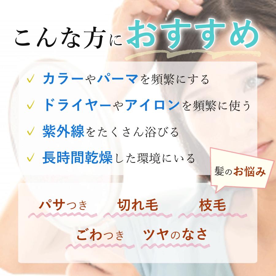 髪風船 CMC PRO plus 1000ml ボトルセット 髪風船 CMC PRO plus 1000ml ボトルセット 髪風船 CMC PRO plus