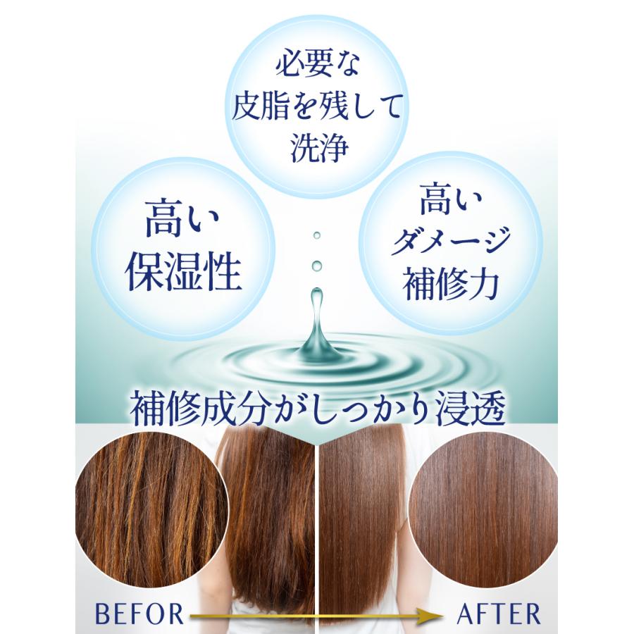 サロン専売 シャンプー アミノ酸シャンプー ノンシリコン 縮毛矯正で