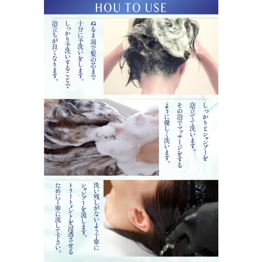 アミノ酸シャンプー サロン お徳 くせ毛 美容室専売 ノンシリコン