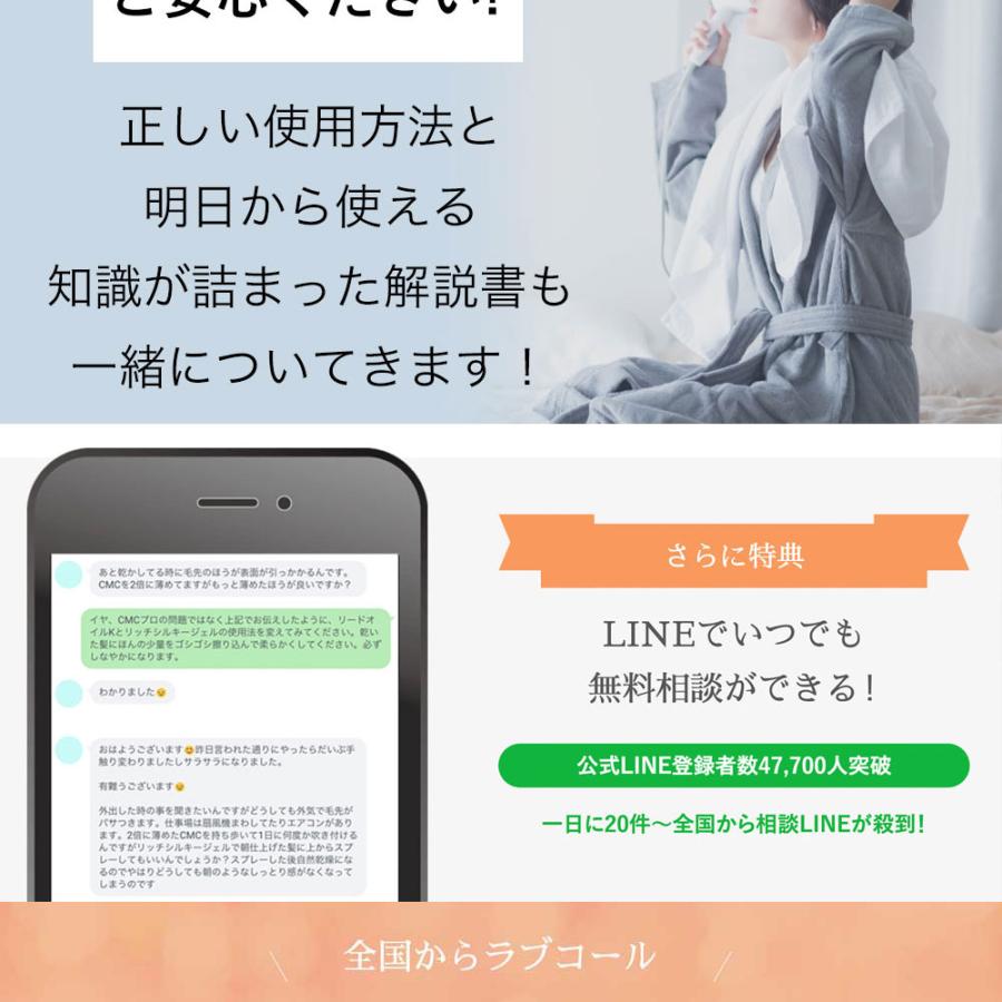 傷んだ髪を補修 ビビリ毛 補修剤 ハイダメージ対応 傷んだ髪を補修 ビビリ毛 補修剤 ハイダメージ対応