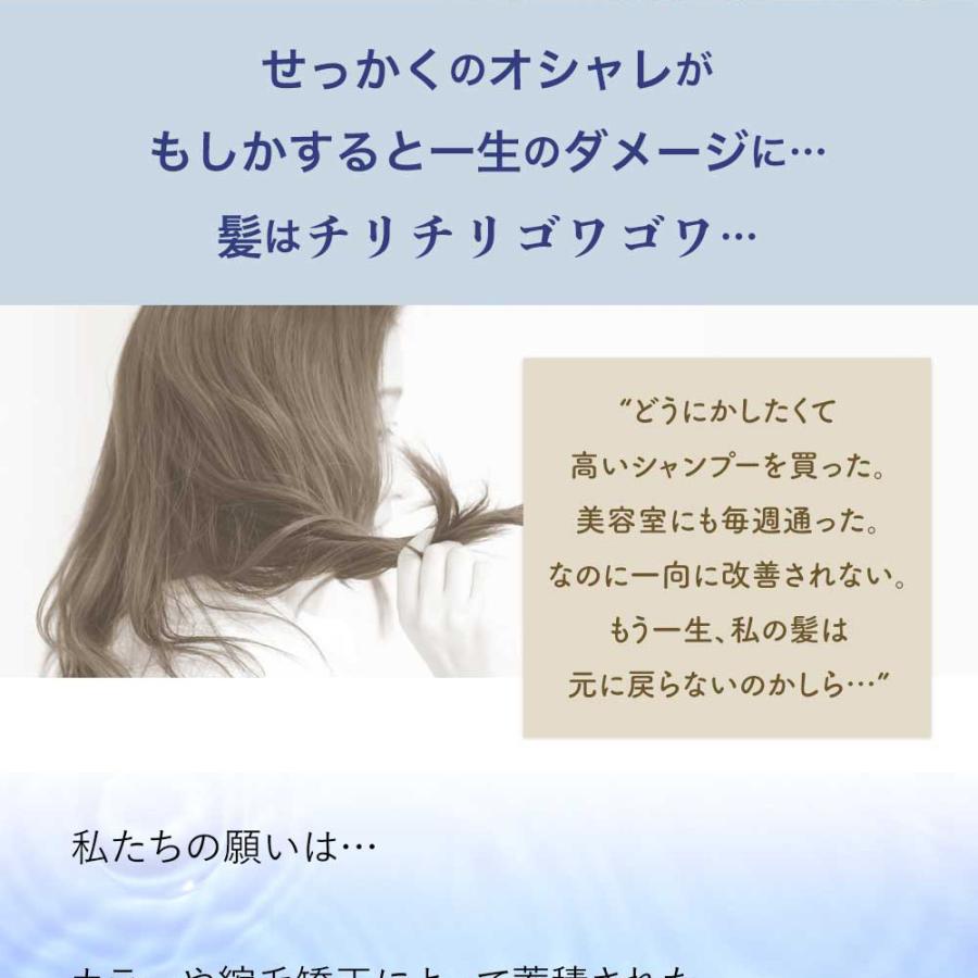 傷んだ髪を補修 トリートメント ビビリ毛 補修剤 髪風船 ハイダメージ対応 4点セット 縮毛矯正後 美容室専売 自宅 ケア｜kf-shop｜08