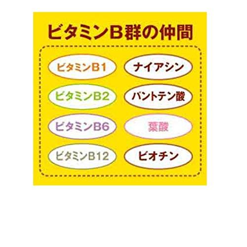 NATUREMADEネイチャーメイド 大塚製薬B-コンプレックス 60粒 60日分｜kf-style｜03