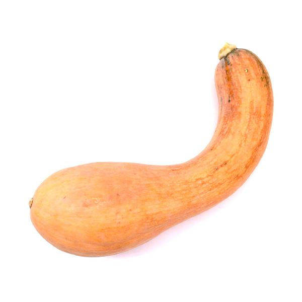 南部一郎 かぼちゃ カボチャ 鶴首 1本 岩手県産 0361b006 農家の台所yahoo 店 通販 Yahoo ショッピング