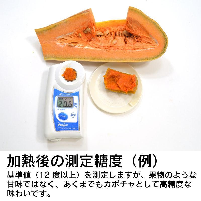 南部一郎 かぼちゃ カボチャ 鶴首 1本 岩手県産 0361b006 農家の台所yahoo 店 通販 Yahoo ショッピング