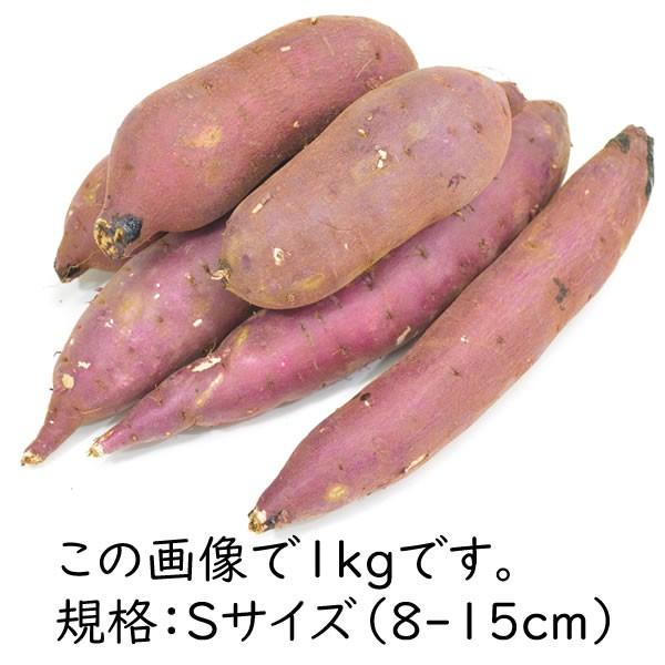 さつまいも 1kg 紅はるか べにはるか 生芋 茨城県産 熟成 0862r006 農家の台所yahoo 店 通販 Yahoo ショッピング