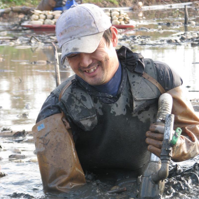 れんこん 美肌れんこん 2kg箱 茨城県霞ケ浦 れんこん3兄弟 産地直送 送料無料 0870t007 農家の台所yahoo 店 通販 Yahoo ショッピング