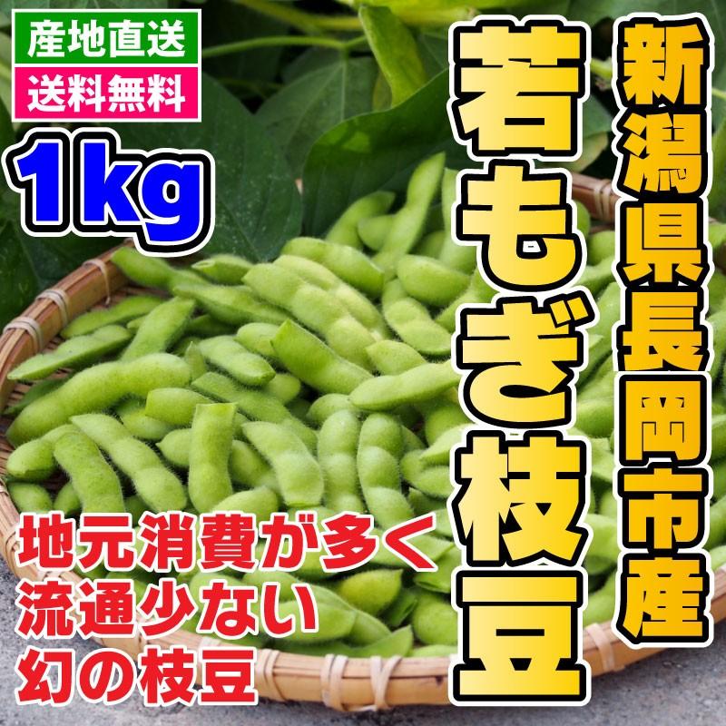 マツコの知らない世界 枝豆 おつな姫 湯あがり娘 一人娘 ギガランキングｊｐ