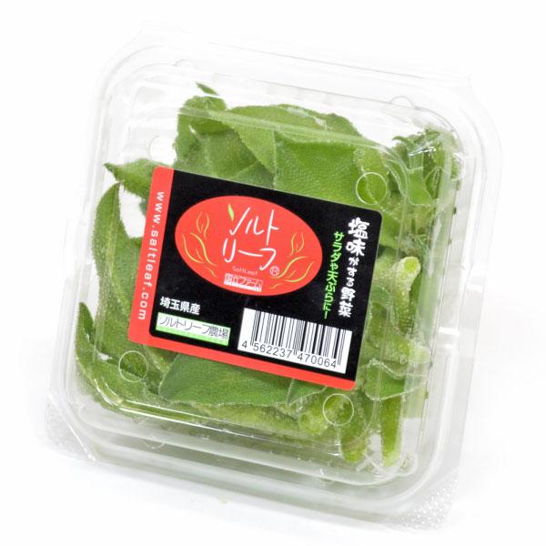 ソルトリーフ 約60g アイスプラント 埼玉産 a001 農家の台所yahoo 店 通販 Yahoo ショッピング