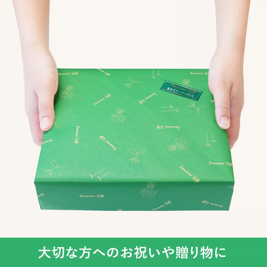 軽井沢絶品アップルパイ 信州産ふじりんご 父の日 : 軽井沢