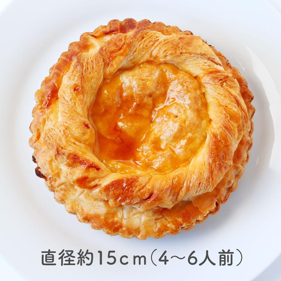 お中元 2026 軽井沢絶品アップルパイ 信州産ふじりんご スイーツ ギフト 贈答用 爆買 |  | 04