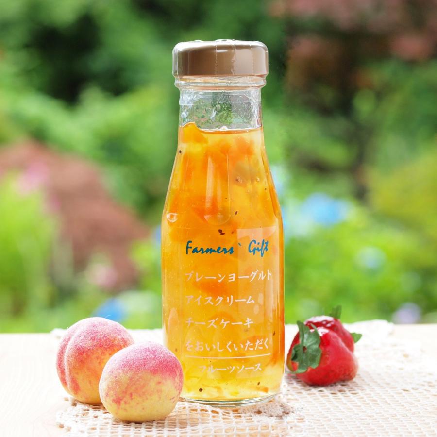 フルーツソース フルーツミックス 220ｇ レギュラーサイズ ヨーグルト パンケーキ チーズケーキ かき氷 手作り極上スイーツ | 