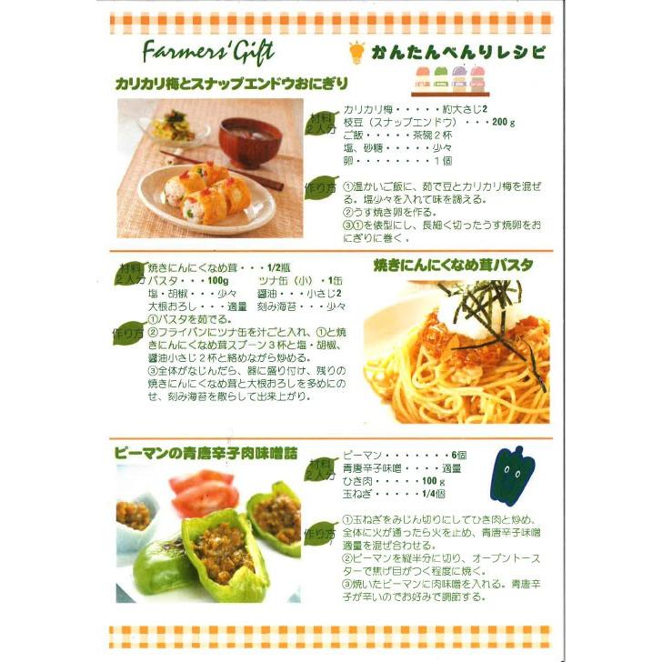 レシピ付漬煮惣3個セット 送料無料 詰め合わせ 和風惣菜 信州味噌 御礼 手土産 プレゼント 新作入荷 内祝 軽井沢ファーマーズギフト 御祝