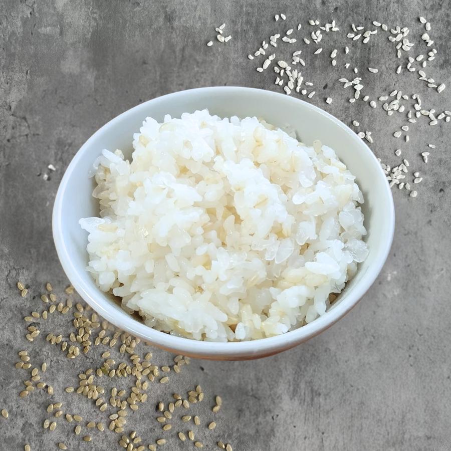 【送料無料・お試し7日分】シノビボディ SHINOBI こんにゃく米PLUS＋《玄米》(個包装タイプ/7袋) |  | 08