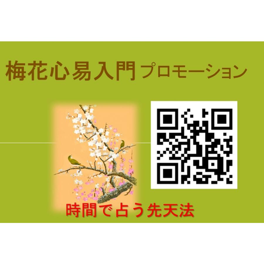 梅花心易入門&梅花心易鑑定シート : 北の風水師開運ショップ 梅花心易入門&梅花心易鑑定シート : 北の風水師開運ショップ