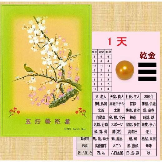 梅花心易入門＆五行梅花易カードセット 梅花心易入門＆五行梅花易カードセット : 北の風水師開運