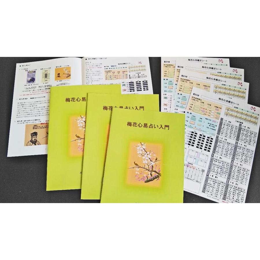 梅花心易入門＆五行梅花易カードセット 梅花心易入門＆五行梅花易カードセット : 北の風水師開運