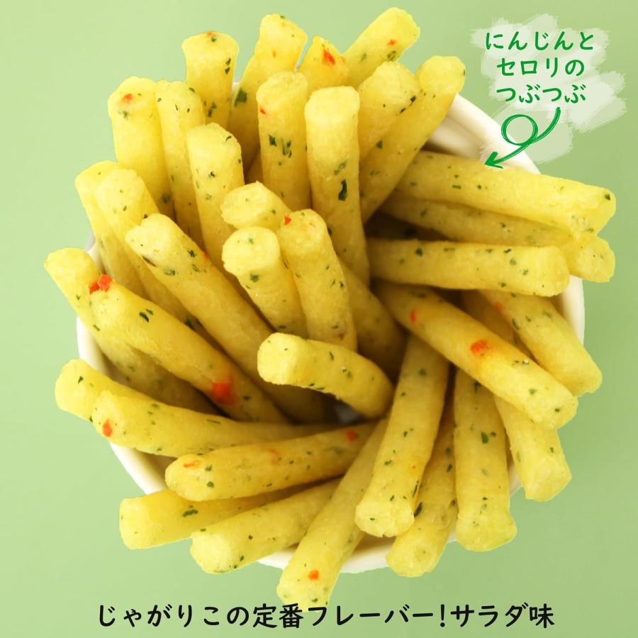 2箱セット　カルビー じゃがりこ サラダ味 57g×12個｜kfoodstore｜02