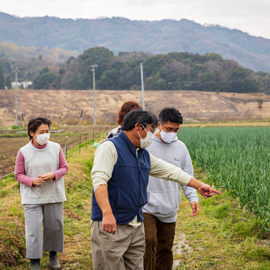 淡路島 玉ねぎ 新玉ねぎ 10kg 送料無料 / オニオンスープ 無農薬野菜 減農薬 無農薬 有機 野菜 サラダボウル サラダ玉ねぎ｜kfvfruit｜04