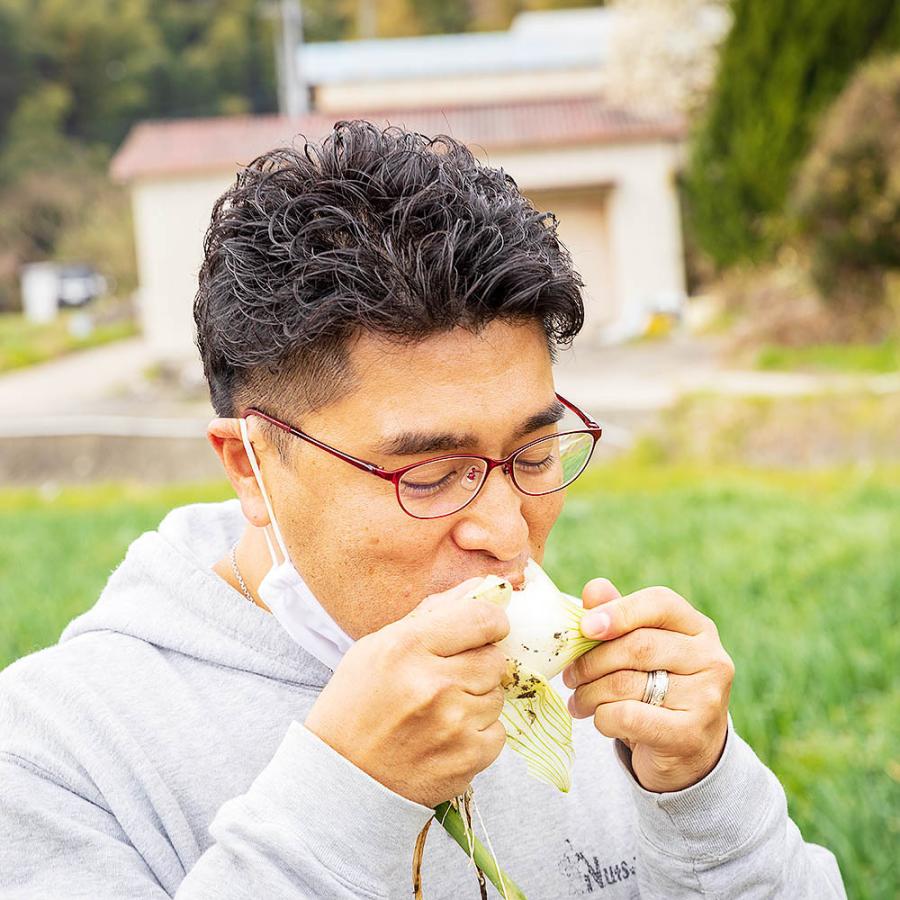 淡路島 玉ねぎ 新玉ねぎ 5kg 送料無料 / オニオンスープ 無農薬野菜 減農薬 無農薬 有機 野菜 サラダボウル サラダ玉ねぎ｜kfvfruit｜06