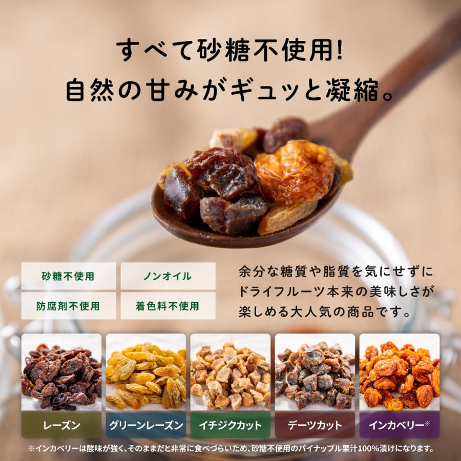 元気のたね 無添加 砂糖不使用 ビューティー ベリーミックス 900g