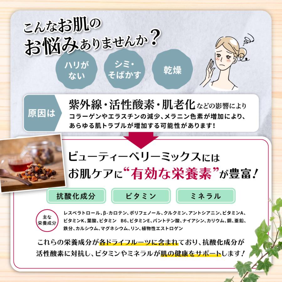 元気のたね 無添加 砂糖不使用 ビューティー ベリーミックス 小分け