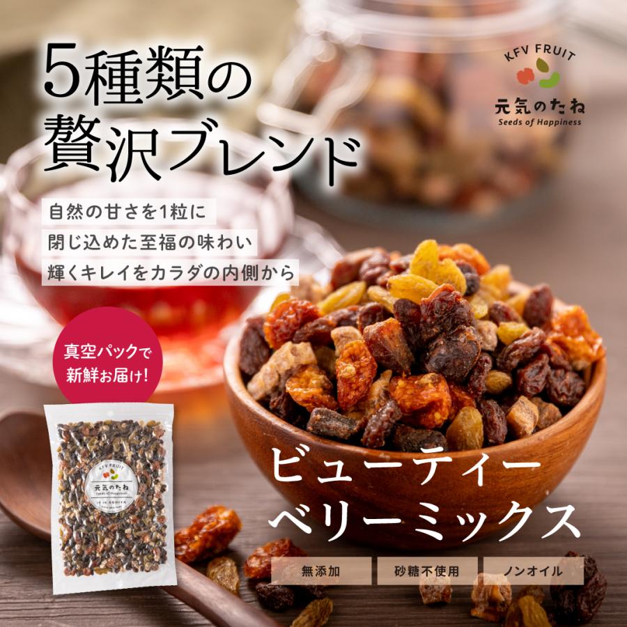 元気のたね 無添加 砂糖不使用 ビューティー ベリーミックス 500g ノンオイル ドライフルーツミックス　（Yahoo!・元気のたねKFV）
