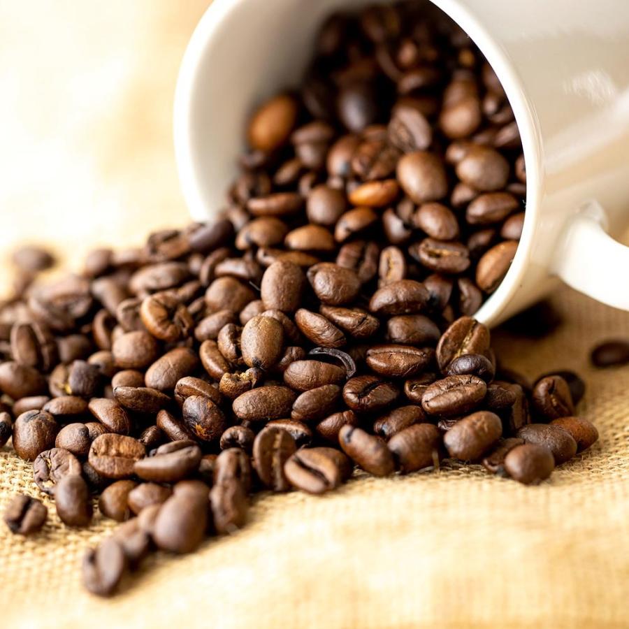 ポイント10倍 10 9限り コーヒー豆 珈琲 元氣珈琲 コスタリカ ブレンド お試し 100g 生豆 焙煎 ギフト にもおススメ Cosuta 100 元気のたねkfv 通販 Yahoo ショッピング