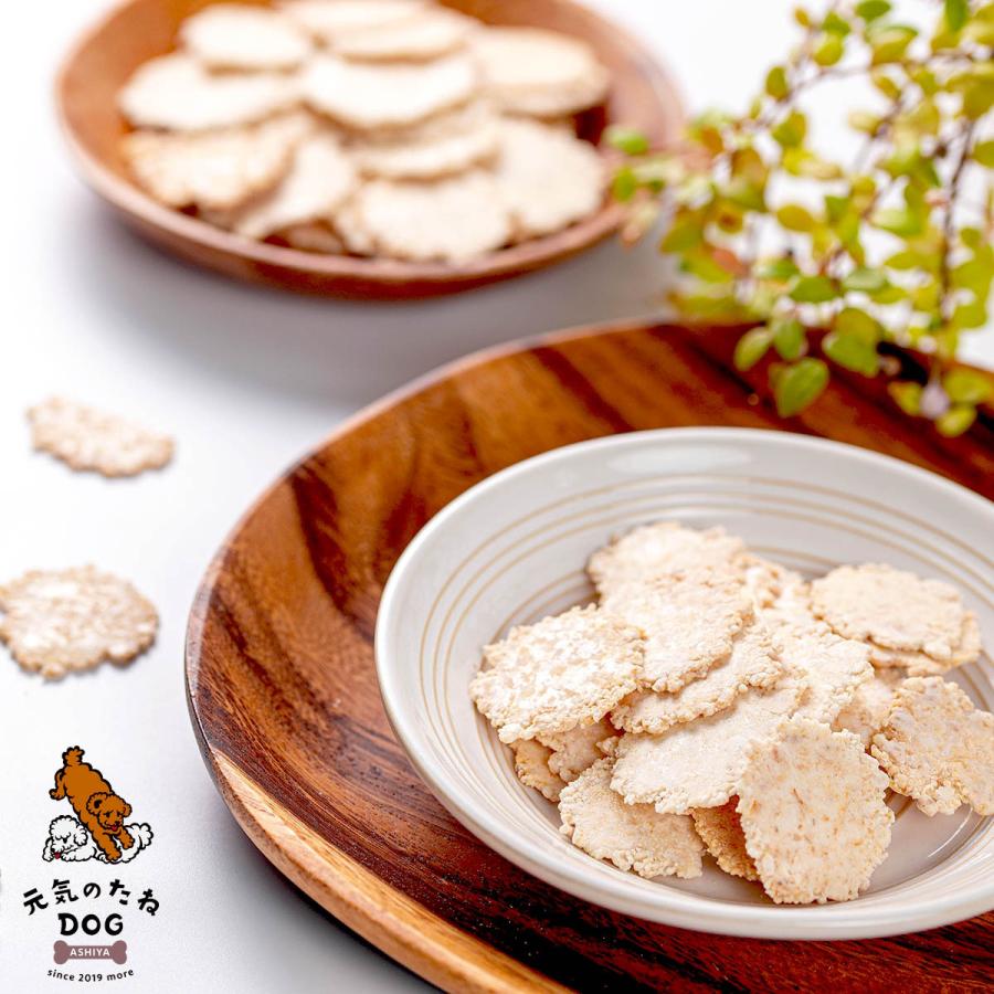 犬 おやつ 無添加 犬おやつ せんべい 100g 幼犬 シニア犬 犬用 煎餅 プレゼント ドックフード ドッグフード ペット ペット用品 ダイエット オートミール Dog Pain Senbei 100 元気のたねkfv 通販 Yahoo ショッピング