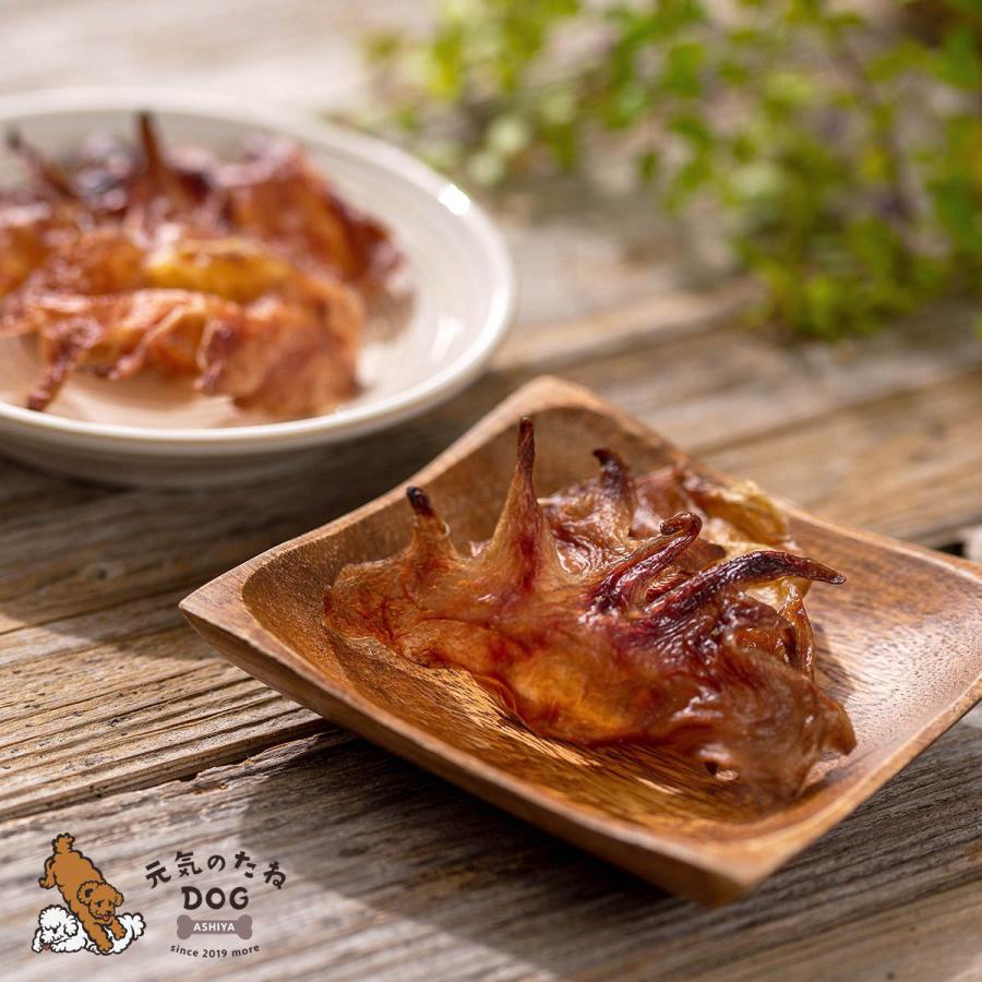 犬 おやつ 国産 無添加 鶏 とさか でヒアルロン酸 業務用 1kg 送料無料