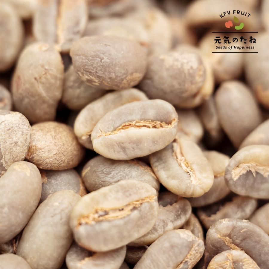 コーヒー 生豆 80g スペシャルティ 珈琲 コスタリカ 元気のたね : 元気