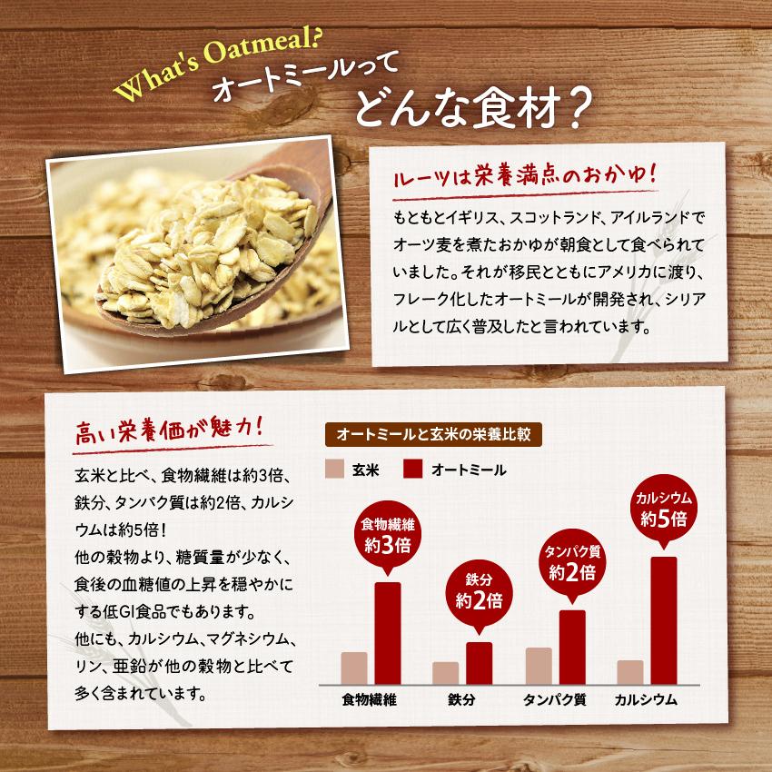 オートミール オーガニック 100g ロールドオーツ 有機 有機栽培 無添加 オーツ麦 オートミールごはん オーツ オート麦ファイバー  オーツ麦ファイバー シリアル
