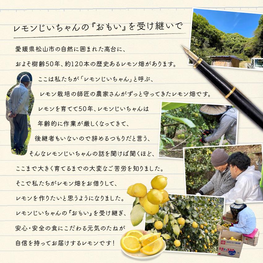 国産レモン ほぼ 無農薬 レモン 2kg 国産 れもん 愛媛県産 減農薬 自家栽培 訳あり 元気のたね｜kfvfruit｜03