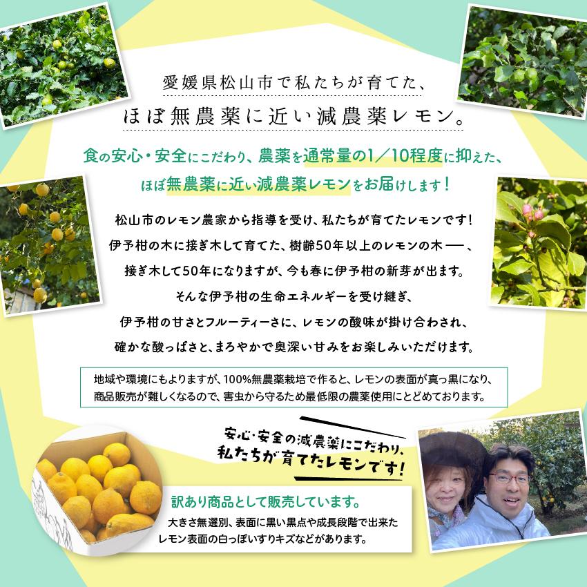 セール価格 無農薬レモン1 愛媛県産 無農薬レモン 10kg 愛媛県産