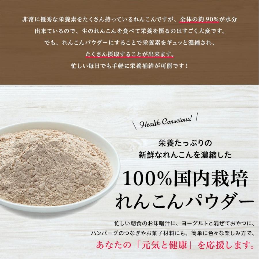 送料無料 れんこんパウダー 国産 無添加 1kg レンコンパウダー レンコン 蓮根 粉末 野菜パウダー Renkon P 1k 元気のたねkfv 通販 Yahoo ショッピング