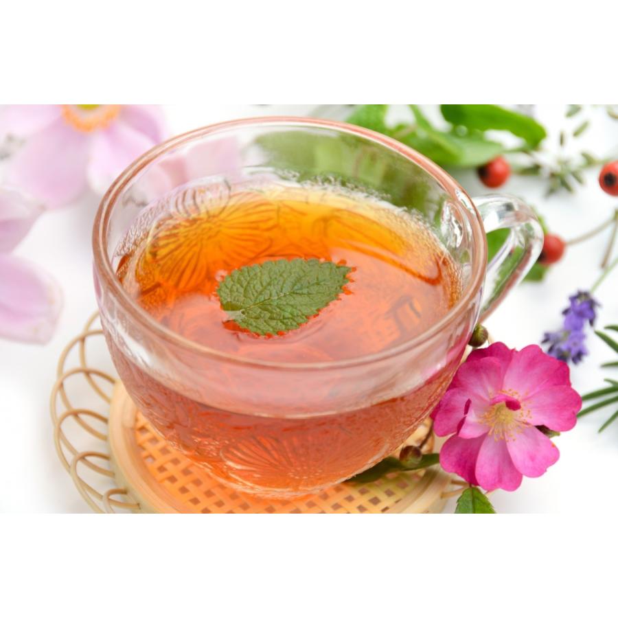 ハーブティー ローズヒップ ティーバック お試し 20袋 ローズヒップ