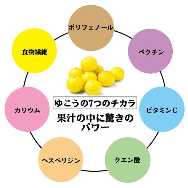 ヒロポン酢【1本】　2本以上ご購入でオリジナルキーホルダー＆水素入浴剤ヒロポン湯(期間限定)をプレゼント |  | 07