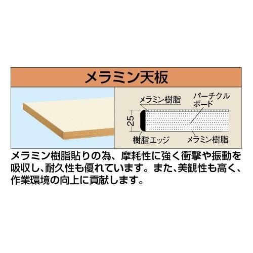 (直送品)サカエ SAKAE 中量用天板 KT-1260MTCI_1