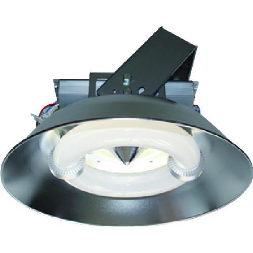 (送料別途)(直送品)ELI Lamp PL-564A-CC260W-A 屋内用 003454